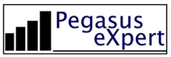 Pegasusexpert