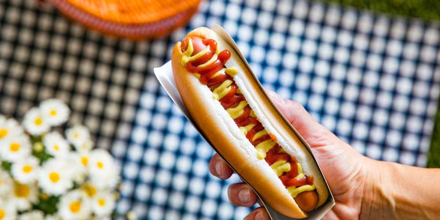 Todaylicious Hot Dog