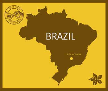 ci brazil
