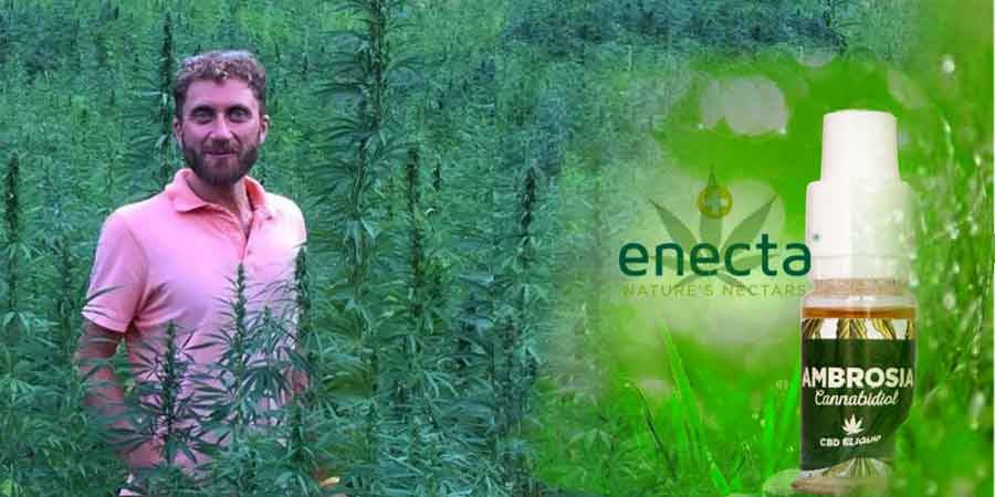 enecta, hempoil, φυτικη κανναβη