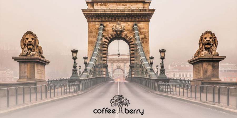 Coffee Berry
