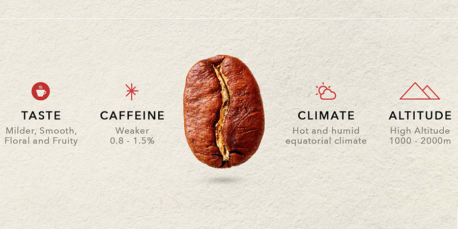 Arabica