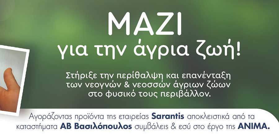 ΑΒ ΒΑΣΙΛΟΠΟΥΛΟΣ franchise