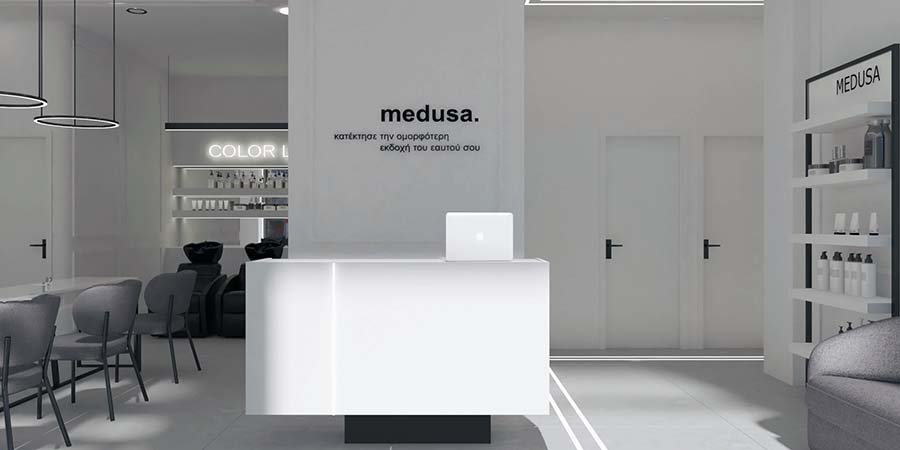 MEDUSA franchise