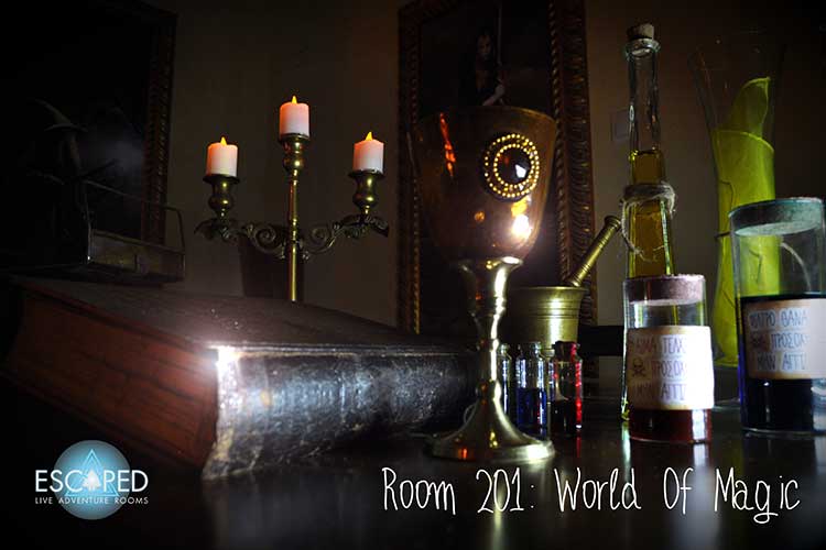 Room 201 World of Magic.g
