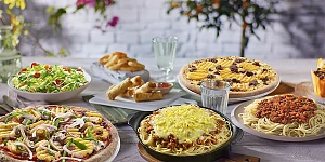 PIZZA FAN franchise
