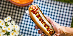 Todaylicious Hot Dog