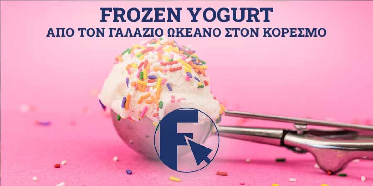 Frozen Yogurt franchise